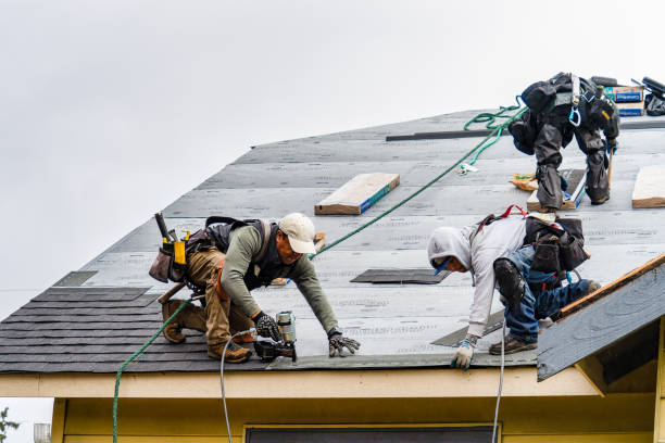 Professional Roofing technician working in Aroma Park, IL